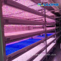 マッシュルームコンテナ垂直農業温室